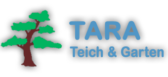 Teichbau, Garten und Landschaftsbau, Galabau, Gartengestaltung, Poolbau in Naunhof bei Leipzig (Sachsen)